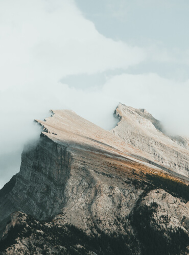 Premium Macadamia Nuts Kenya